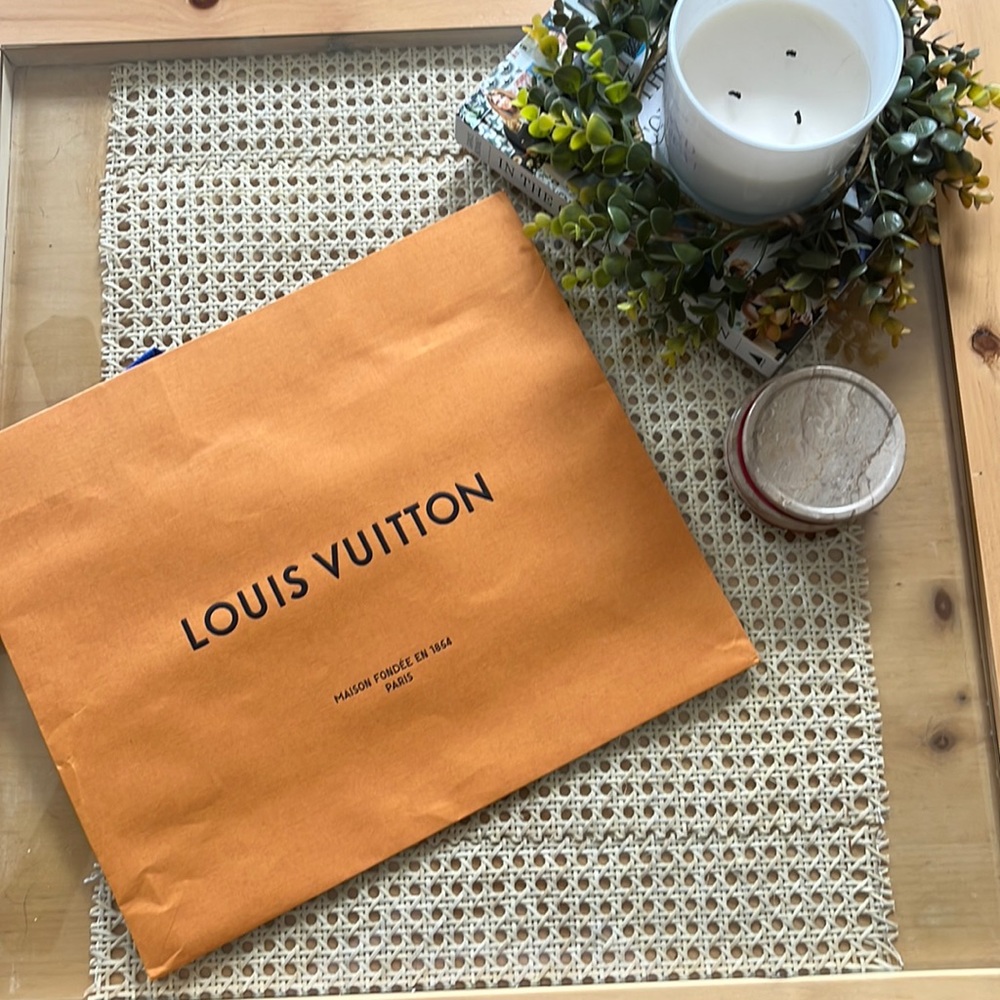 Medium Sized Louis Vuitton Retail Bag